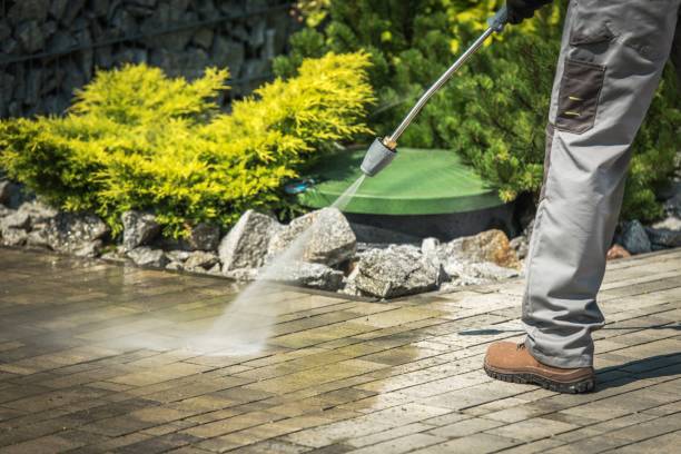 Best Warehouse Cleaning  in North El Monte, CA