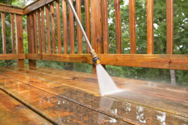 Best Dumpster Area Cleaning  in North El Monte, CA